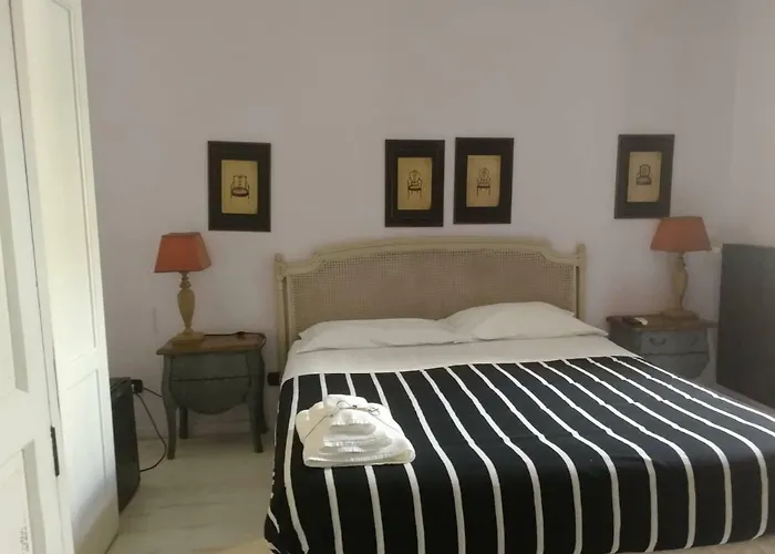 Gatto Bianco Casa Dei Venti